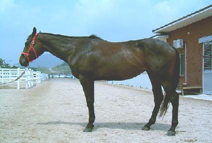 ȭ�������� ����