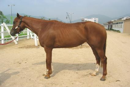 ���̽� ����