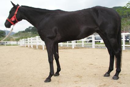 ��ź� ����