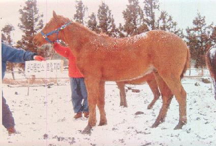 ��´����� ����