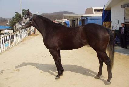 �������� ����