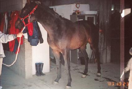 ������ ����