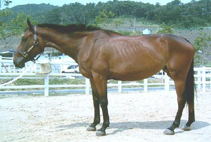 ��絵�� ����