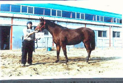 ��� ����