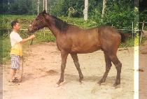 õ�� (CHEONSAN) ����