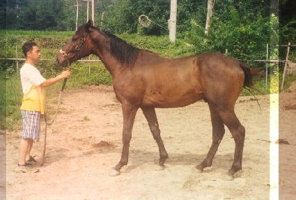 õ�� ����