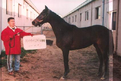 ���� ����