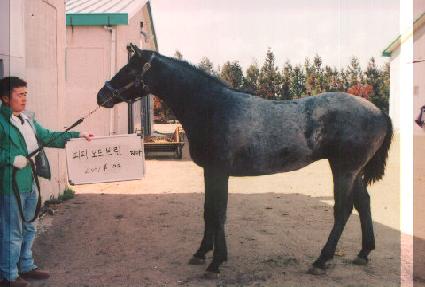 ���غ� ����