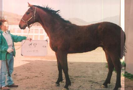 ưư��� ����