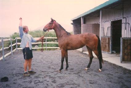 �̿��� ����