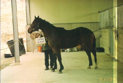 �����ݵ� ����