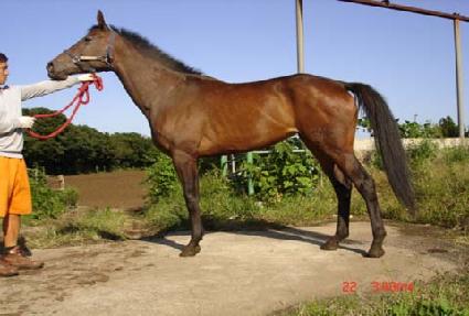 �̷����� ����