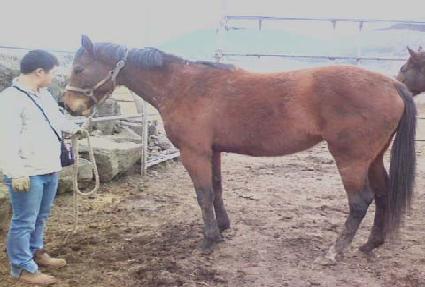 ��� ����