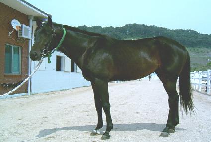 ���þ�Ÿ ����