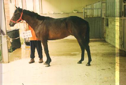 ���� ����