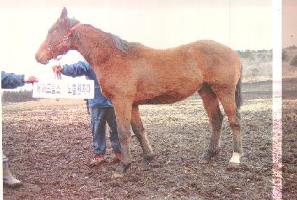 ���ӵ� ����