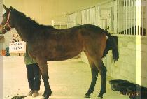 ȭ������ (HWARYEO GANGSAN) ����