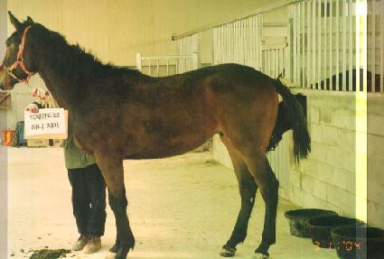 ȭ������ ����