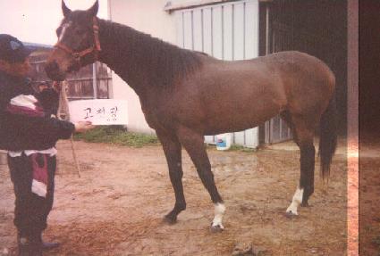 ���� ����