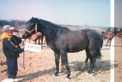 ȭ��Ʈ��� ����