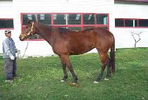 ��ۼҸ� (GIPPEUNSORI) ����