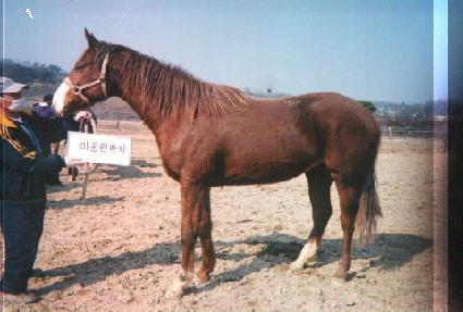 â�� ����