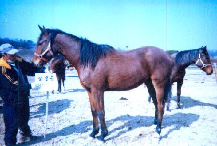 ȯ����� ����