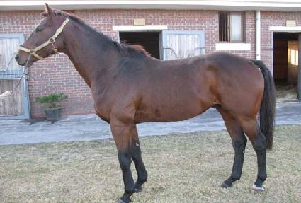 ���а��� ����