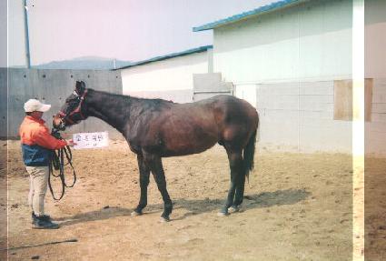 ũ����� ����