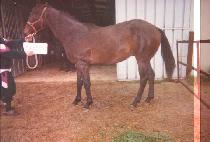 ���պ� (JEWANGBYEOL) ����