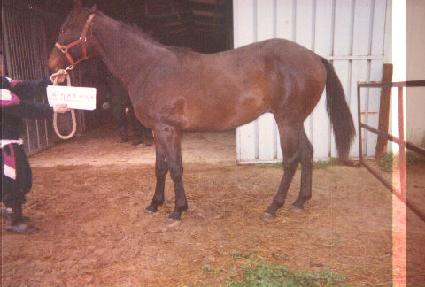 ���պ� ����