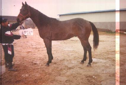 �����հ��� ����