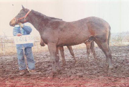 ��õ���� ����