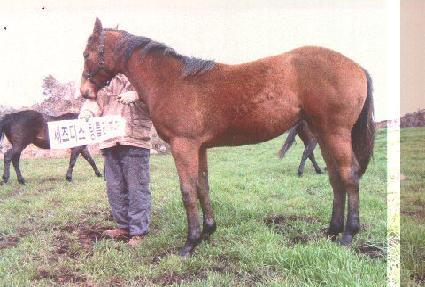 ���ڸ� ����