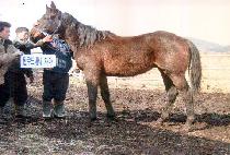 ����� (DEAMANGJU) ����