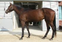 �λ갭�� (BUSAN GANGJA) ����