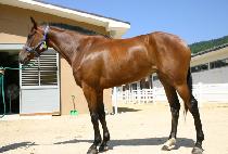 Ư�깰 (TEUKSANMUL) ����