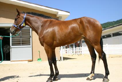 Ư�깰 ����