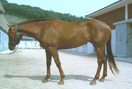 ������ ����