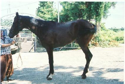 �����ô� ����