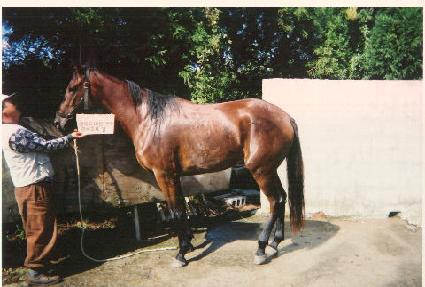 ���ѿ��� ����