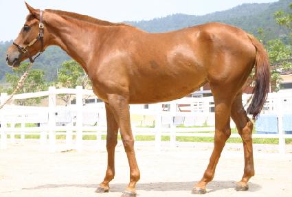 �������� ����