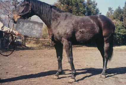 �ξ��۽��� ����