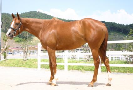 ����Ÿ�� ����