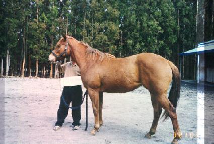 ������ ����