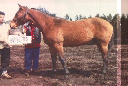 ����ƾ�� ����