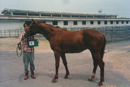 �������� ����