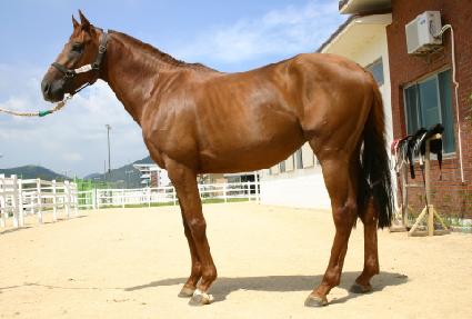 ����͸� ����