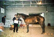 �������� (MEOTJINMANNAM) ����