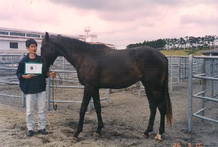 ��� ����